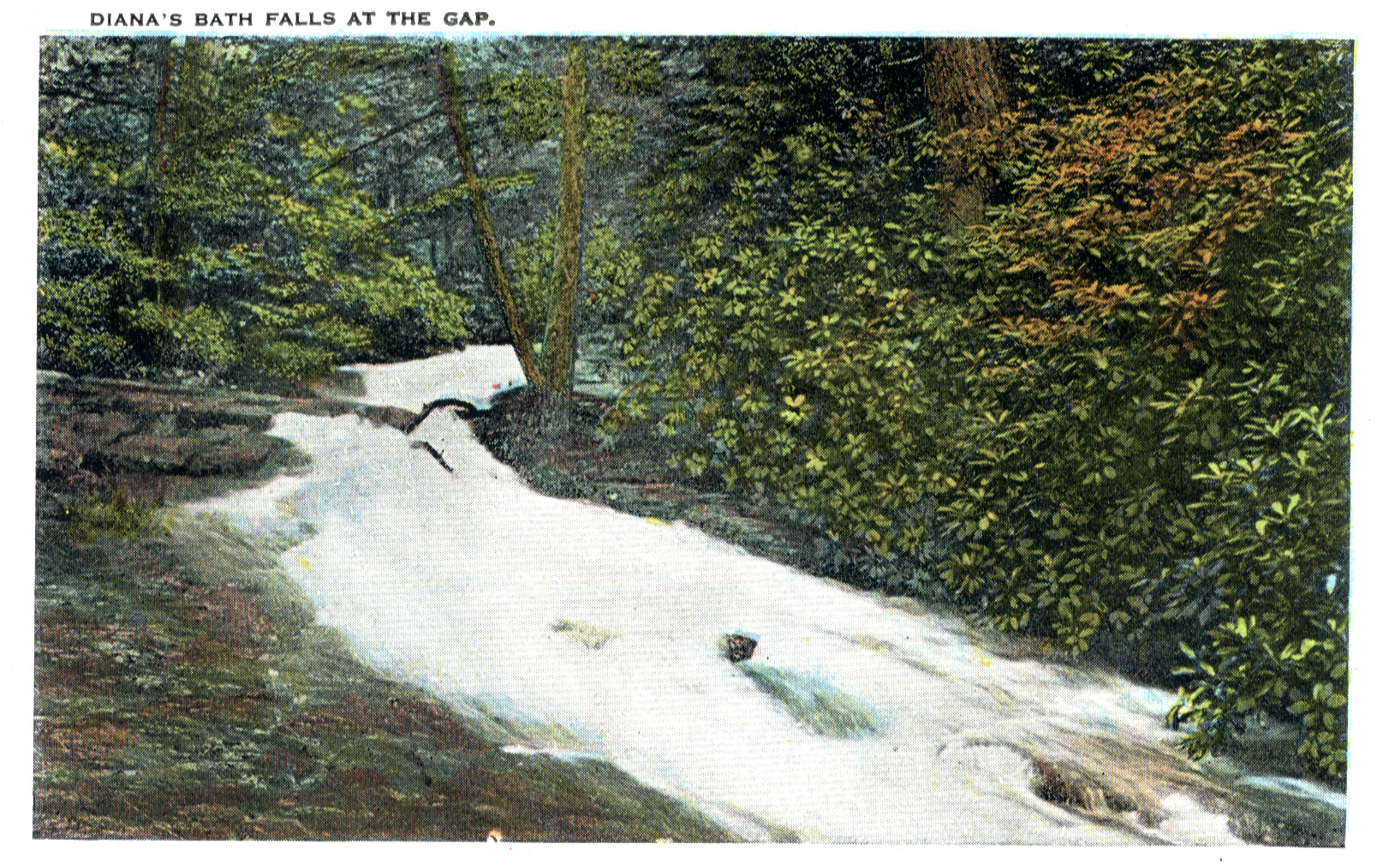 Delaware Water Gap postcard